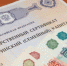 65754 семьи Брянщины получили сертификат на материнский капитал - Рассвет