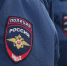 На Брянщине в День выборов на охрану правопорядка привлечены 4000 полицейских - Рассвет