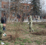 В Навле в общеобластном субботнике приняли участие более 3500 человек. - Рассвет