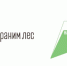 Участники конкурса «Шишкина фантазия» получили Грамоты и подарки - Рассвет