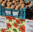 В субботний день брянцы купили на ярмарке 112 тонн плодоовощной продукции - Рассвет