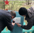На захоронении времен ВОВ, находящемся на территории ГКУ БО «Суземское лесничество», закреплена памятная табличка - Рассвет