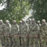 В Брянской области создан отряд добровольцев для помощи пограничникам - Рассвет