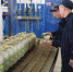 В КП-3 выпущено консервированной продукции почти на 27 миллионов рублей - Рассвет