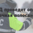 В Суземском районе пройдет оперативно-профилактическое мероприятие «Встречная полоса» - Рассвет