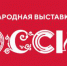 11 миллионов гостей посетили Выставку «Россия» - Рассвет
