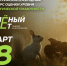 Брянцев приглашают принять участие в экологическом тестировании «Зелёный Зачёт» - Рассвет
