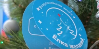 Новогодние мечты детей из луганской Брянки исполнили брянские общественники и добровольцы - Рассвет