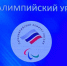 Во Дворце единоборств чемпионы паралимпийских игр провели увлекательные мастер-классы  - Рассвет