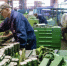 Брянское сырье — в основе новых продуктов завода «Вириал» в Санкт-Петербурге - Рассвет