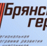 Эксперты Брянского филиала РАНХиГС оценивают подготовку и мотивацию участников программы «Брянские Герои» - Рассвет